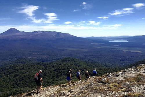 Walking in Tongariro National Park