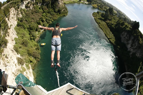 Taupo bungy