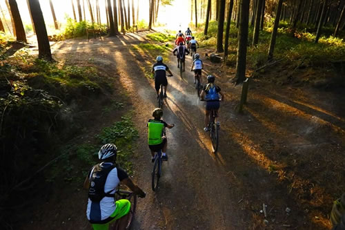 Mountain biking in Taupo